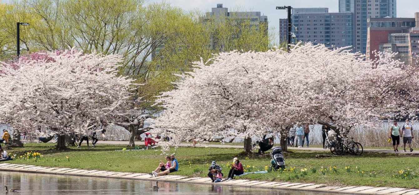 Boston Green Ribbon Commission - Developing shared strategies for fighting  climate change